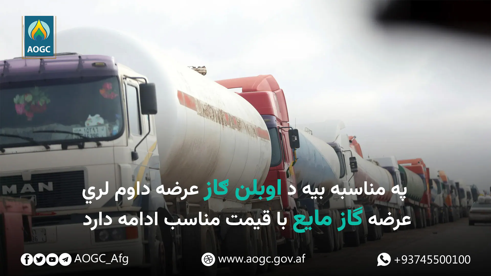 عرضه گاز مایع با قیمت مناسب ادامه دارد